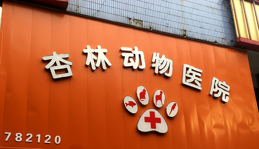 湖南常德杏林動(dòng)物醫(yī)院