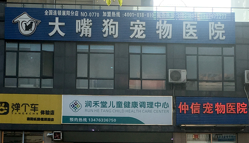 湖北襄陽大嘴狗寵物醫(yī)院