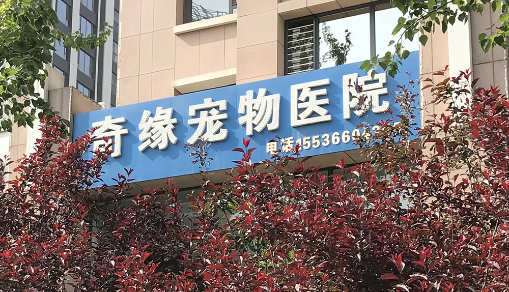 山西太原奇緣寵物醫(yī)院