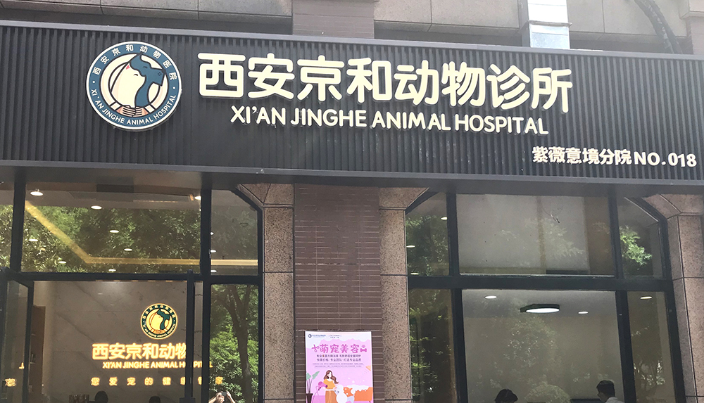 陜西西安京臻動(dòng)物診所