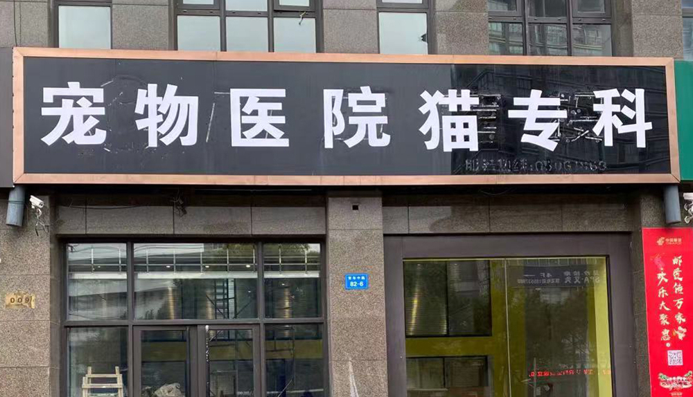 南通崇川區(qū)貓?？?></a></p>
                                <p class=